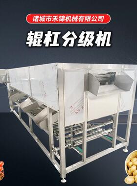 滚杠土豆红薯分选机西红柿蔬菜分选设备商用轨道式葱头分选机