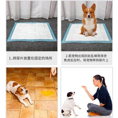 Puppy Pet Pads Dog wee Pee Pad training pad thick waterproof