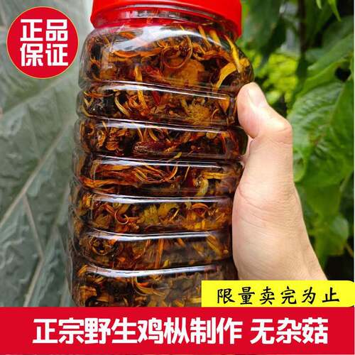 新货手工油鸡枞1400g保证纯野生鸡枞制作云南火把鸡纵即食油鸡综