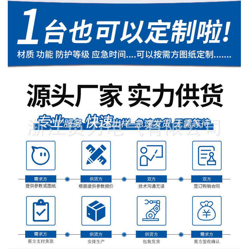 箱分电源型灯具配电疏散a箱控制箱集中配电消防24v36veps应急照明