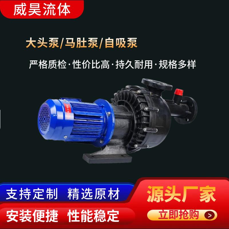 大头泵马肚泵自吸泵化工自吸泵耐卧式大头离心泵小型自吸泵