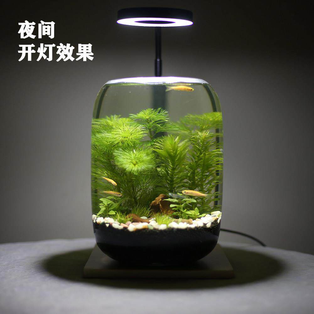 生态瓶微景观免换水科学作业料玻DPC璃桌办公面缸生态材鱼缸