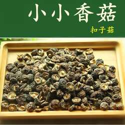小香菇 黄山农家食用干货金钱菇冬菇九华扣子菇山珍老街宏村特产