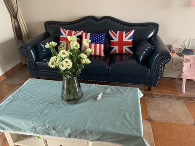 栢菲莱沙发怎么样极度喜欢感受反馈