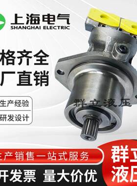 上海电气液压气动A2FE10 28 56 80 125/61W A2FO6.1斜轴液压马达