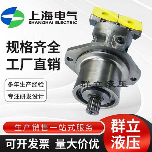 上海电气液压气动A2FE10 28 56 80 125/61W A2FO6.1斜轴液压马达