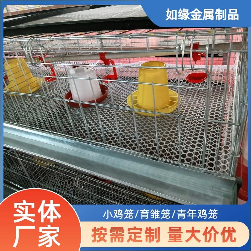 肉鸡笼立式四层小鸡笼加密底网不夹脚养镀锌殖设备蛋鸡土鸡育雏笼