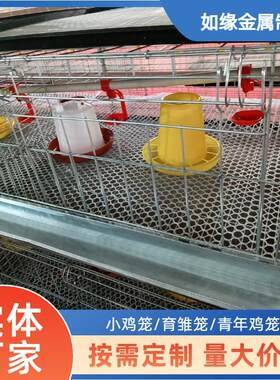 肉鸡笼立式四层小鸡笼加密底网不夹脚养镀锌殖设备蛋鸡土鸡育雏笼