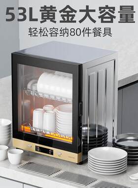 消毒柜家用小型分层小型消毒柜红外线消毒柜热风循环消毒柜商用