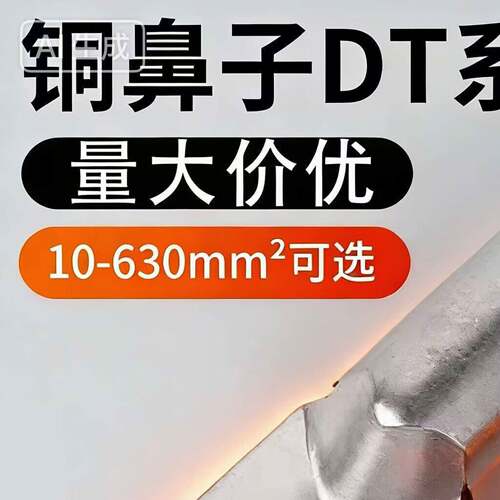 电缆铜鼻子铜线耳堵油铜接头铜端子铜接线DT-16/25/50/95紫铜端子