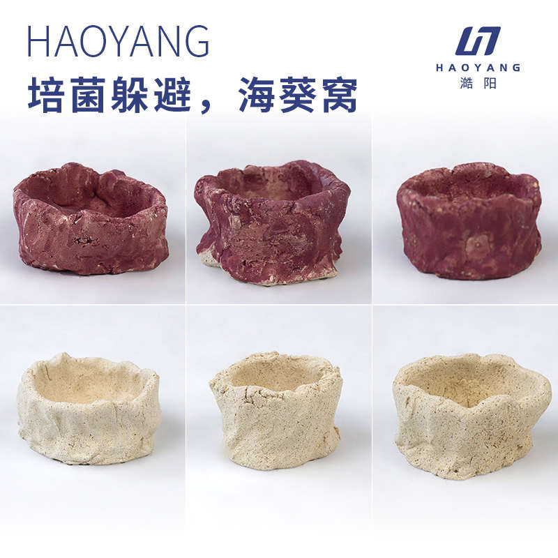 澔阳免爆藻海缸海葵巢珊瑚奶嘴窝海水海葵巢穴奶嘴海葵窝躲避窝