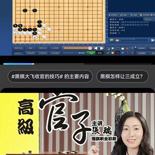 同恒围棋教学视频课官子108课之高级官子职业棋手张瑞讲解共36课