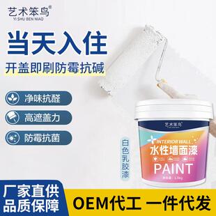 拉车套罩 反光杯艺术笨鸟墙面漆水性净味家用内墙涂料白色修补滚