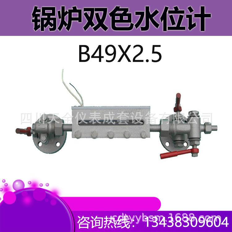 锅炉专用双色水位计 B49X2.5 透反射式双色水位计 锅炉双色液位计
