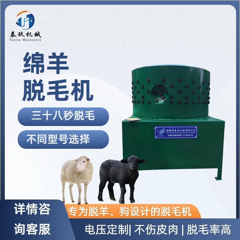 全自动山羊脱毛机商用羊狗脱毛机大型羊肉屠宰设备带皮绵羊褪毛机