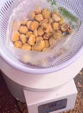 板栗钢去皮机剥机壳小型用摆摊全自MPK动板栗不锈电商动脱皮剥栗