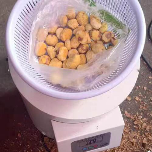 板栗钢去皮机剥机壳小型用摆摊全自MPK动板栗不锈电商动脱皮剥栗
