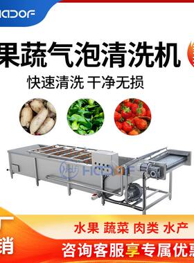 高花生清机果洗淋蔬压喷式气泡ALM清洗机农产品去泥去杂清洗产线
