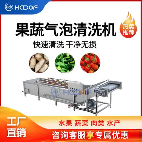 圣女果草莓气泡清洗机鲜蒜预制菜清洗设备喷淋式食品厂洗菜机厂家