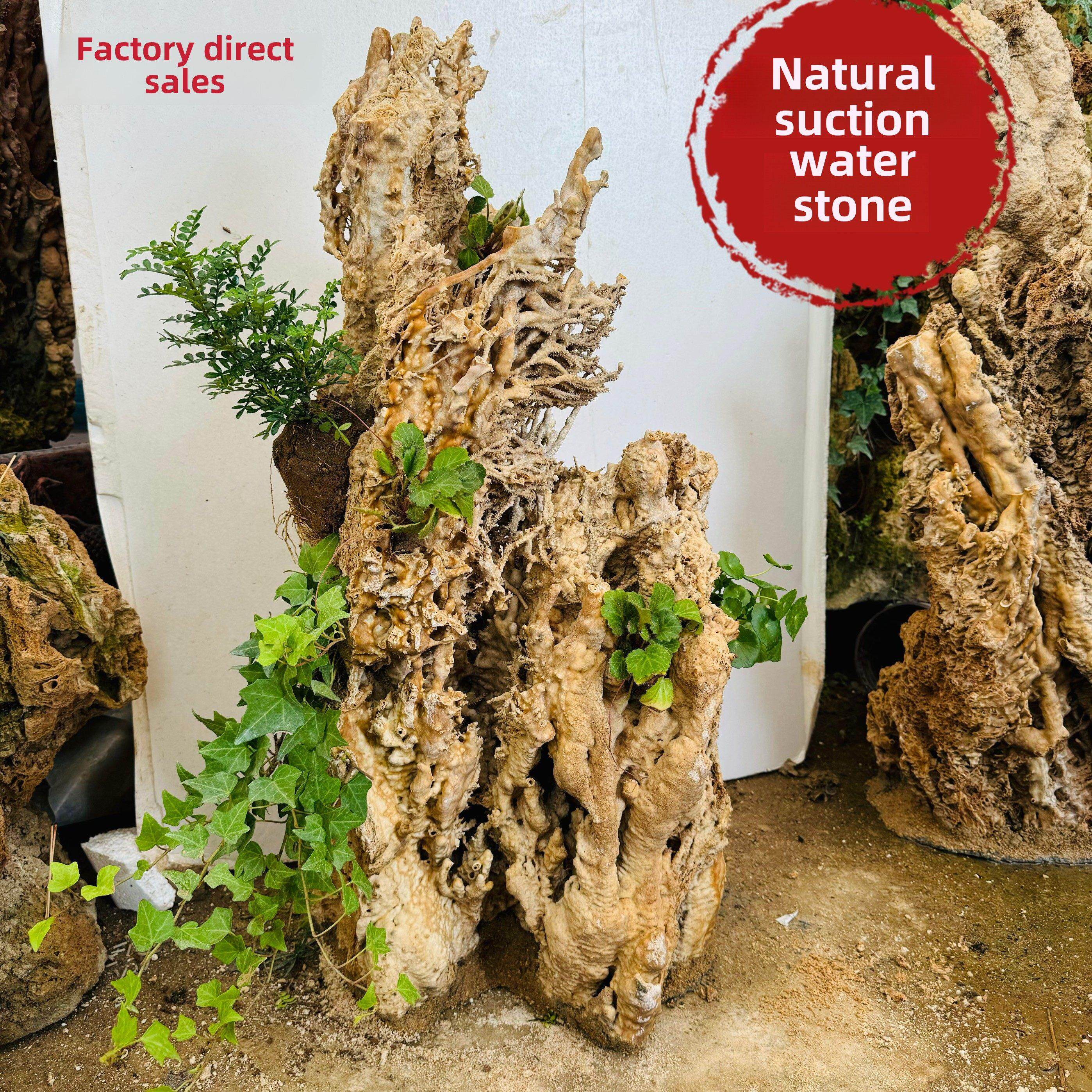 吸水石大型芦丁石原石天然水石盆景假山家居装饰鱼缸景观观赏石