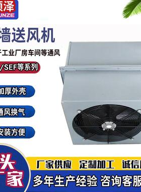 BWEX-450/550边墙式防腐轴流排风机380v220v边墙风机带防雨弯头