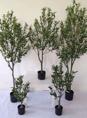 常青仿真植物装饰假绿植盆栽摆件家居饰品 加密仿真橄榄树 现货