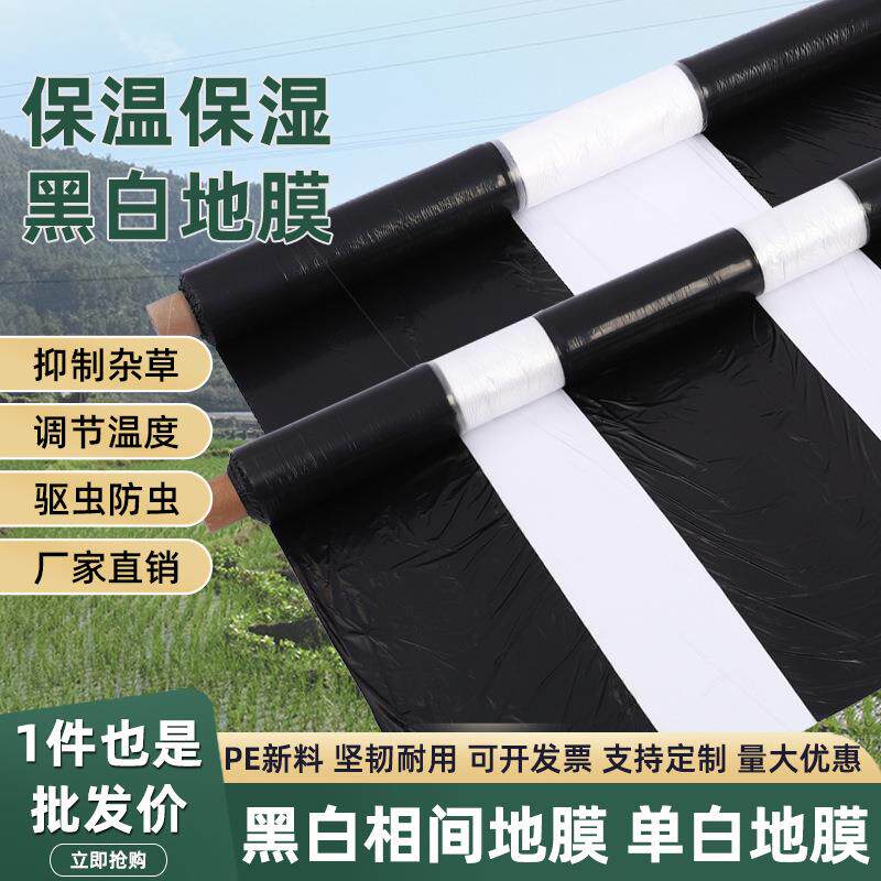 地膜农用黑白相间地膜双白单白地膜大棚膜塑料薄膜保湿除草种地