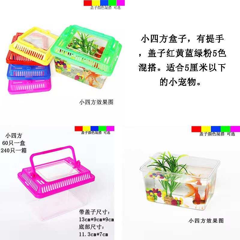 小四方盒子手提乌龟缸小养龟盆透明塑料多色乌龟盒