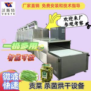 贡菜干燥脱水设备 输送带式木耳烘干杀菌机实力微波设备厂家