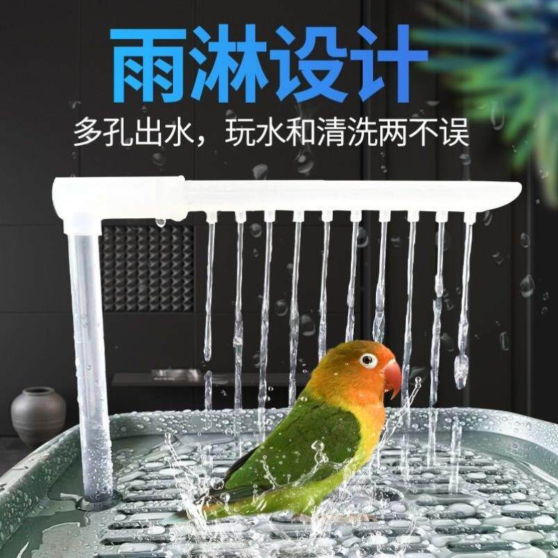 鹦鹉洗澡盆自动循环大号虎皮牡丹玄凤专用浴室洗澡盒子鸟洗澡神器