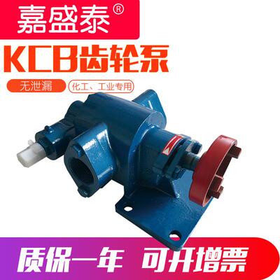 淘源K170C货B55抽齿轮泵小铸铁型电动油泵微型kcb涂料齿轮泵