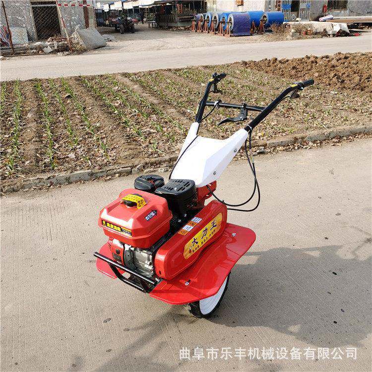 手扶微耕机 果园农场菜地松土除草开沟旋耕机 小型农用耕地机