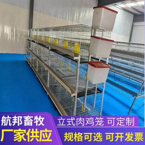 肉鸡笼三层立式叠式育雏育成鸡笼家用简易肉鸡笼养殖设备可外贸