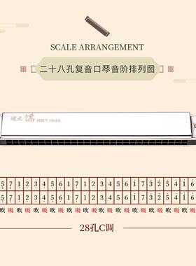 乐直销敦煌28孔ONQ复音琴儿童口成人初门学入器