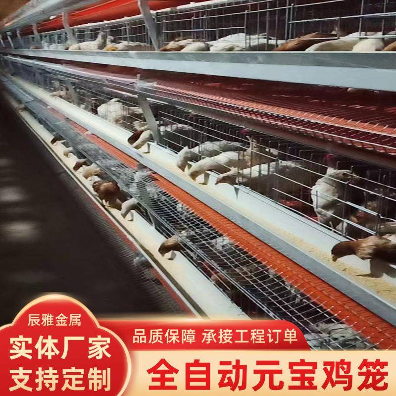 元宝肉鸡笼全自动清粪捡蛋养殖肉鸡笼立式多层叠鸡舍养鸡肉鸡笼