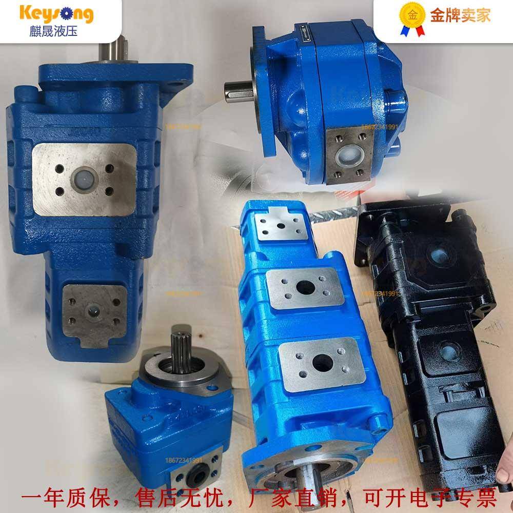 齿轮泵CBGJ3100/125/140/160/180/200/220CBGJ1025/32/40/45/50