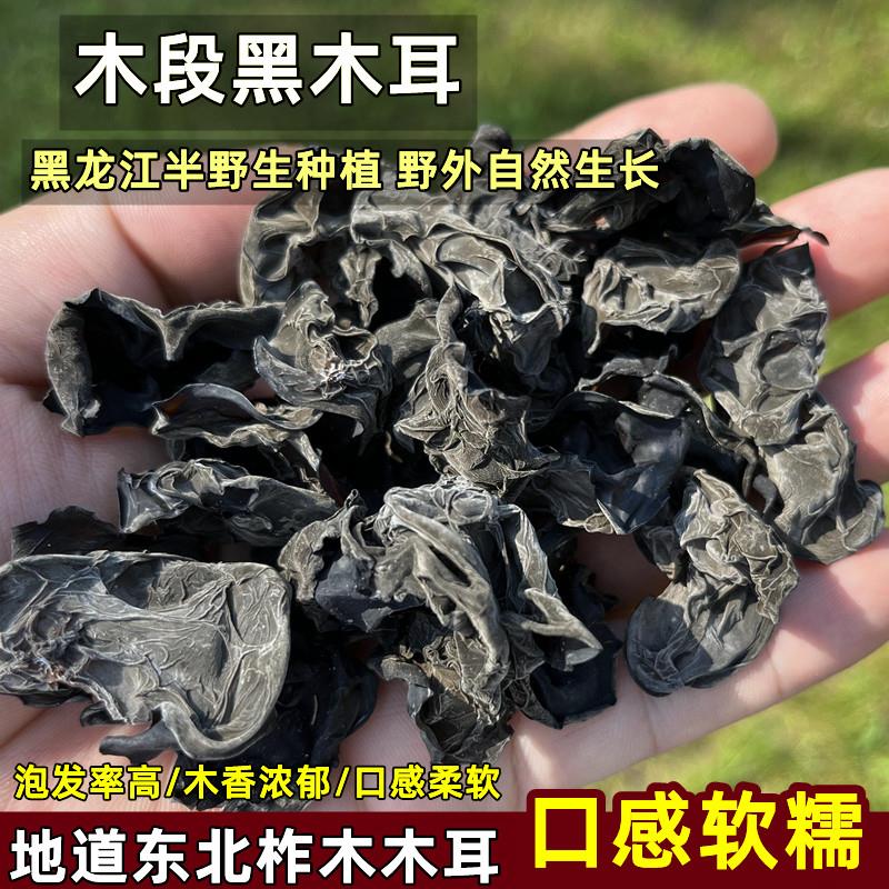 东北黑木耳干货黑龙江特产半野生柞木段木耳秋耳散装无根大朵500g