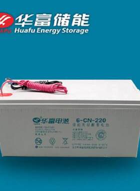 华富蓄电池12V200AH太阳能/路灯6-GFM-200机房应急备用电源/基站
