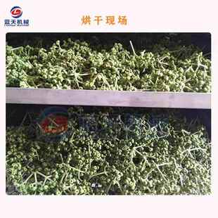 气能米辣 子烘干机智能控温吴茱萸带药枝材烘干箱LT-MLZ 漆辣空子