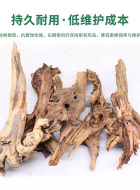 干枝装饰天然枯树干艺插花木头鱼花缸造景沉木长枝条diBRTy树木材