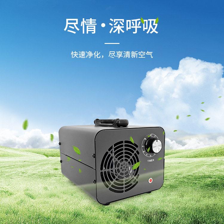 小型臭氧机水处理净化酒店车间除味除甲醛臭氧机发生器