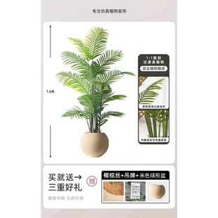 饰品散植物假仿生葵大型树绿摆件植奢落地 客厅仿真尾盆栽室内轻装