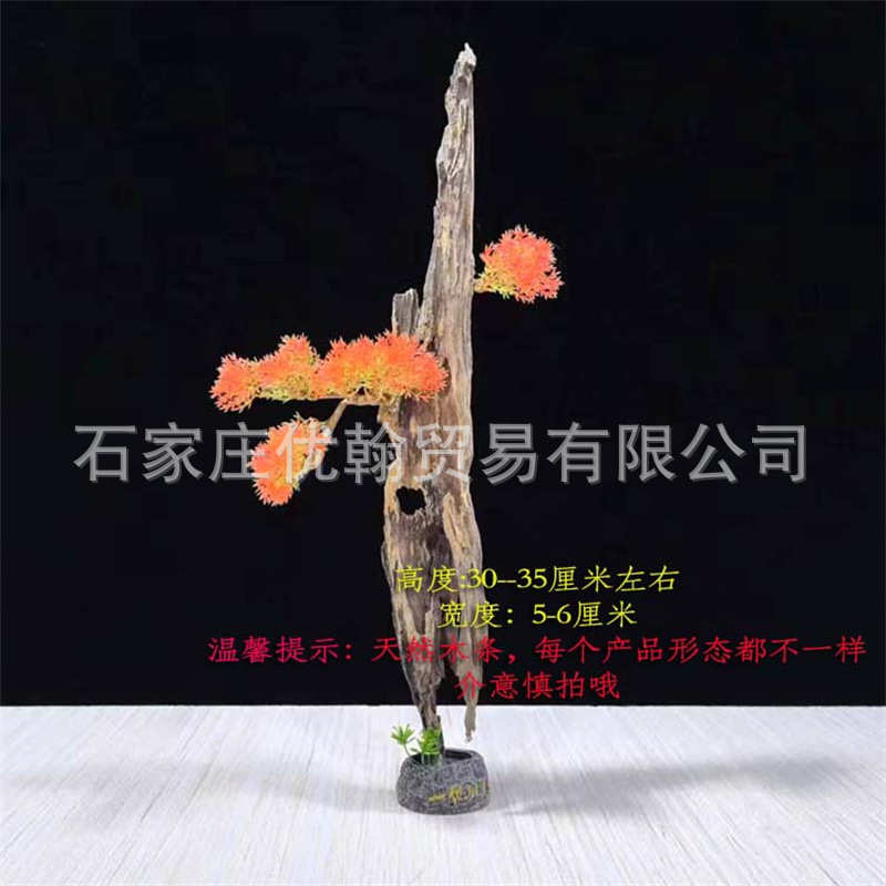 刺身造型根雕摆件树枝可干造藤迎客松花弯曲创意树枝姿天然