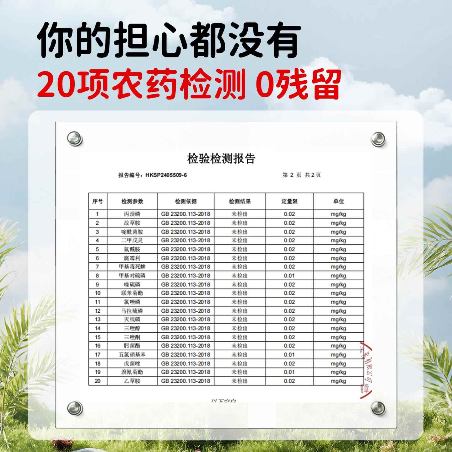 有机东北绿豆新货新鲜优质一农家级当季大粒薄皮2025年官方旗舰店
