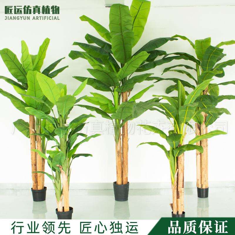 2.8米室内造景大叶植物热带雨林风仿真香蕉树芭蕉树北欧大盆景