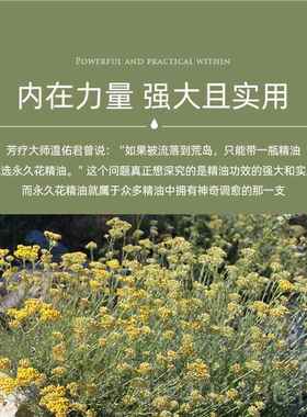 高档荨眼尔科西岛永久花精油5ML嘉紧致淡纹黑圈摩面部按护肤蜡菊