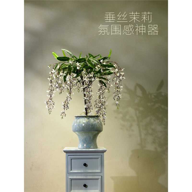 海虹景品垂丝茉莉仿真绿植假花客厅高级小型中古桌面玄关装饰摆件