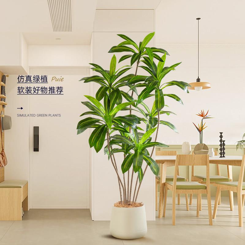 彷真绿色植物高端轻巴西木奢氛围树造景客厅大型装饰摆饰盆栽假树