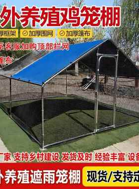 户鸡鸡笼棚特大鸡号家禽养鸡鸽LIK笼搭建家用养殖孔雀防雨舍大外