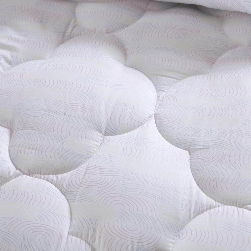 季羽WHS丝绒春被生芯四化纤被学棉被单人双人秋加大